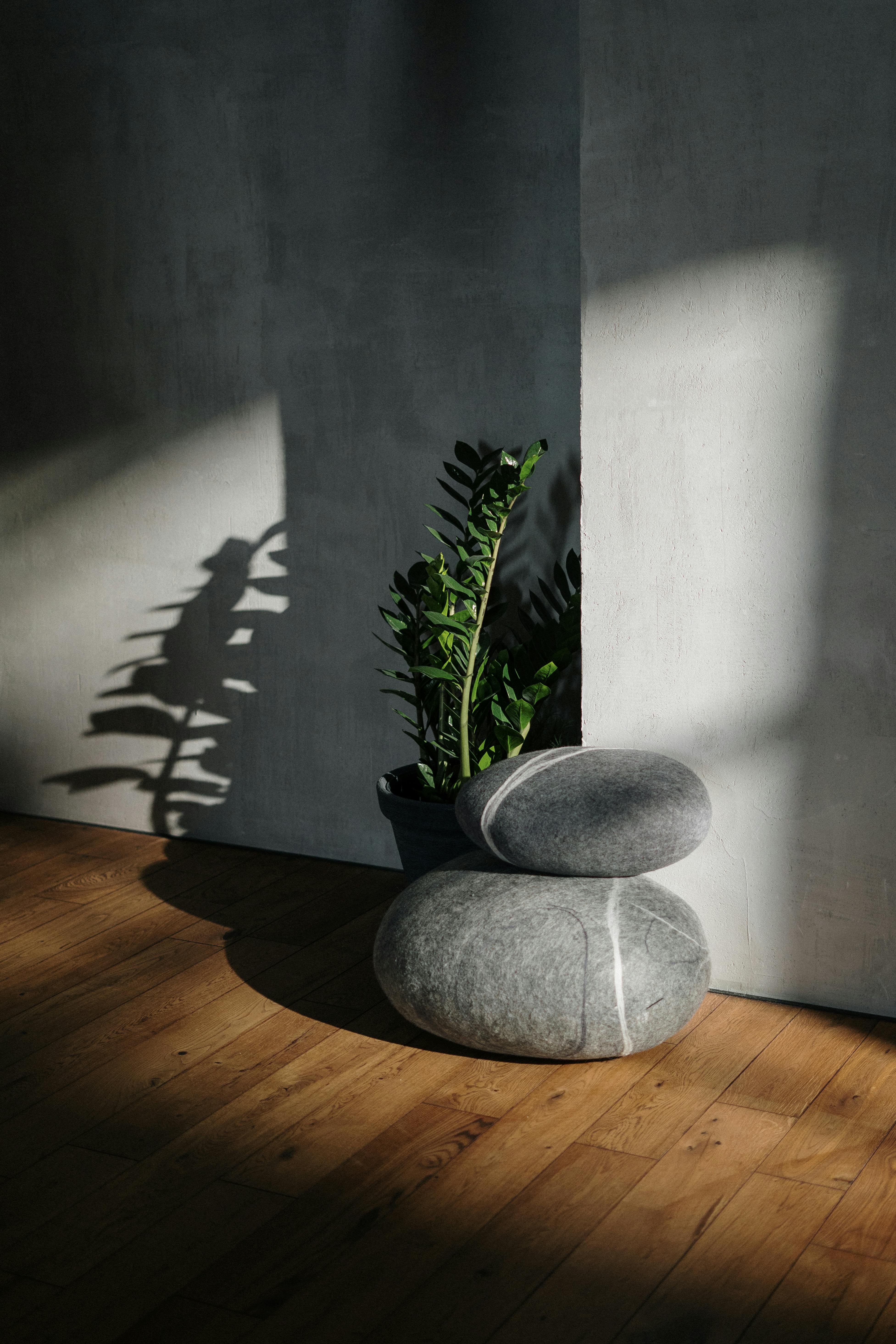 decor apaisant
